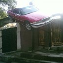 ���� ����, ��������, 62 ���� - ��������� 16 ������ 2010 � ������ �������