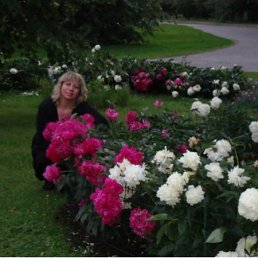 ���� �����, ����, 64 ���� - ��������� 1 ���� 2012