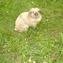 ���� ������, �������, 42 ���� - ��������� 9 ������� 2012 � ������ �������