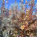 ���� ����(�� �������), ��������������, 62 ���� - ��������� 14 ������� 2011 � ������ ���������������