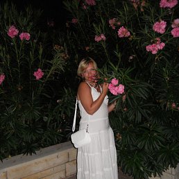 �����, ������, 68 ���