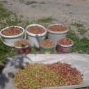 ���� ������� ������!!! �� � ������� �� ������� ���������� � ���� ����.!!! �� ������� ���� ����������