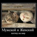 ���� �����, �����, 36 ��� - ��������� 22 ���� 2011 � ������ ����������!�