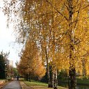 2009 ��� �� ������� ������ � ������