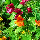 ���� �����, �������, 44 ���� - ��������� 17 ��� 2010 � ������ ������ � ���� ����