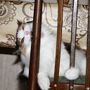 ���� ��������, �������, 74 ���� - ��������� 11 ������� 2012 � ������ �������