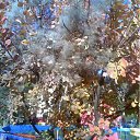 ���� ����(�� �������), ��������������, 62 ���� - ��������� 14 ������� 2011 � ������ ���������������