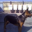 ���� �������, ���������, 43 ���� - ��������� 19 ������ 2012