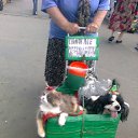 �� ������ ������ ���� �� ������� ������Ż