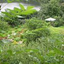 ���� �������, �����������, 46 ��� - ��������� 5 ��� 2011 � ������ �������