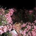 ���� �������, ������ - ��������� 26 ������ 2012 � ������ ���� ����������