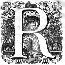 ���� Rafo, ������, 30 ��� - ��������� 29 ����� 2012