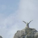  ,  , 44  -  26  2012   