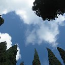 ���� ������, �����-���������, 44 ���� - ��������� 30 ������ 2012 � ������ ���� ����������