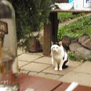 Vse pod kontrolem. �� ������� ���� ����������