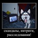 ���� ������, ������, 35 ��� - ��������� 23 ��� 2013 � ������ ���� ����������