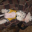 ���� ������-������� ��� ���� �����, ��������, 85 ��� - ��������� 1 ������ 2010 � ������ ������ �������