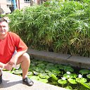 ���� ������, ���������, 52 ���� - ��������� 3 ���� 2012 � ������ ���� ����������