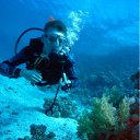 ���� ������, ������ - ��������� 18 ������ 2011 � ������ ���� ����������