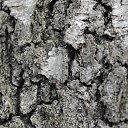 ���� I-----, ����������� - ��������� 12 ����� 2013 � ������ ���� ����������