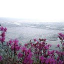 ��� ������ � ���� �� �������.