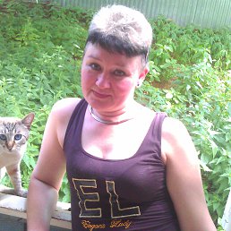 ���� ����, ������, 57 ��� - ��������� 8 ���� 2013