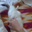 ���� ���������, ������ �������� - ��������� 26 ���� 2013 � ������ ������)))�