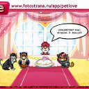 ���� ����, �����, 57 ��� - ��������� 24 ������ 2011 � ������ �PetLove�