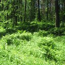 ���� ����, ����������� - ��������� 7 ������� 2012 � ������ ������� �����