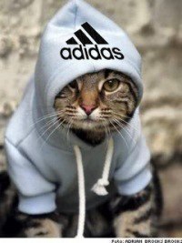 ���� ������� �������, ����������, 35 ��� - ��������� 2 ������� 2013