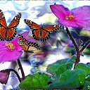  , , 45  -  14  2010   ?!