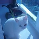 ���� . ���� ����� �����