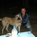 ���� ��������, ���������, 50 ��� - ��������� 8 ���� 2013 � ������ ���� ����������