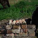 ���� �����, �����, 35 ��� - ��������� 13 ���� 2012 � ������ ���� ����������