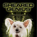 ���� "@����", �����-���������, 25 ��� - ��������� 26 ������� 2010 � ������ �Catc &amp; Docs�