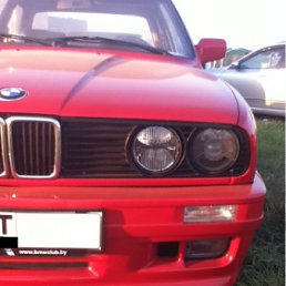 ���� ������, ������, 33 ���� - ��������� 24 ������� 2011