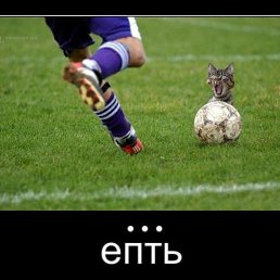 ���� ��������, ������, 30 ��� - ��������� 16 ������ 2013