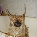 ���� ����, ������, 30 ��� - ��������� 14 ���� 2012