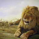 ���� Roman Reh, ������, 44 ���� - ��������� 27 ����� 2012