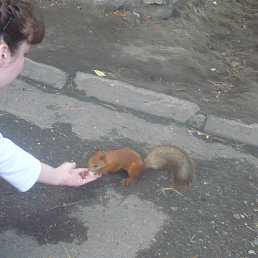 ���� ��������, �����������, 40 ��� - ��������� 3 �������� 2012