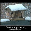 ���� ������������������������������������������������������������������, ��������, 39 ��� - ��������� 2 ���� 2010 � ������ ����ݻ