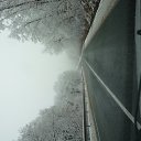 ���� �������, ���������, 42 ���� - ��������� 11 ������ 2012 � ������ ���� ����������