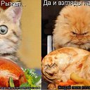 ���� �������, ������, 71 ��� - ��������� 28 ������� 2011 � ������ ���� �������� �����������