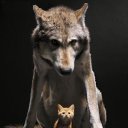 ���� �����, ��������, 47 ��� - ��������� 13 ������ 2011