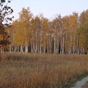   - , :))), , 53  -  22  2009   