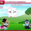 ���� �����, �������, 28 ��� - ��������� 14 ������ 2010 � ������ �PetLove�