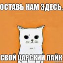 ���� ������, �����������, 29 ��� - ��������� 30 ��� 2013 � ������ ���� ����������