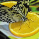 ���� ����, �����-���������, 57 ��� - ��������� 6 ������ 2011 � ������ ���� �������