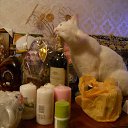 ���� �������, ����������� - ��������� 8 ������� 2013 � ������ ���� ����������