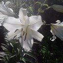  ,  -  14  2011   RoadKing